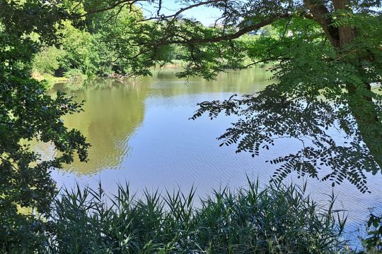 Wandern in Kelmis (Bild: privat)