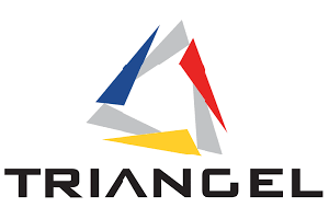 Triangel-Logo
