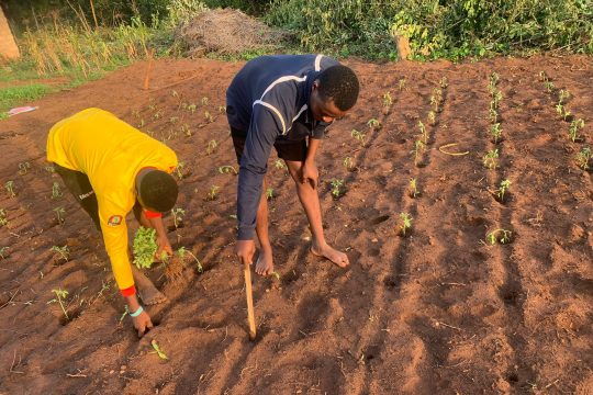 Projekt "Leben ohne Flucht" im Benin (Bild: privat)