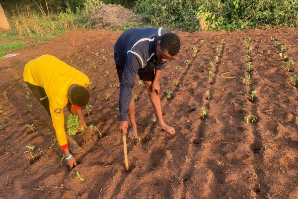 Projekt "Leben ohne Flucht" im Benin (Bild: privat)
