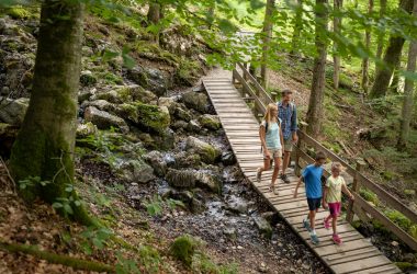 Kaiserwinkl im Sommer