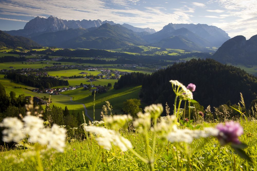 Kaiserwinkl im Sommer