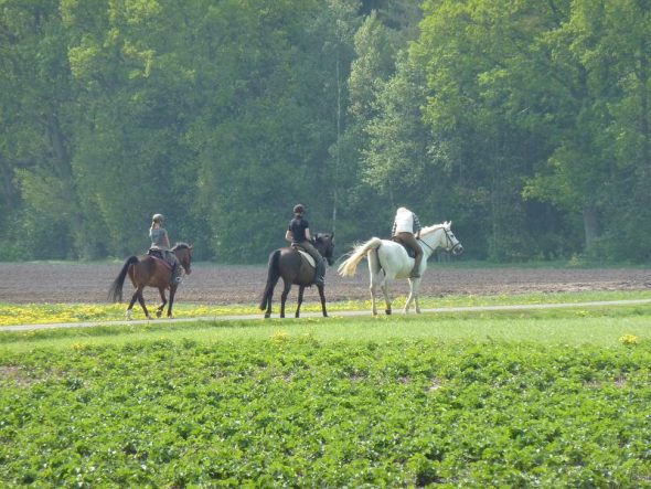 Ausreiten