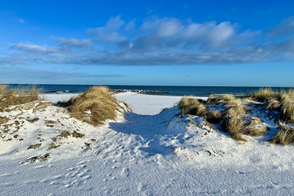 Hof Sonnenmeer Ostsee4