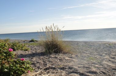 Ostseestrand
