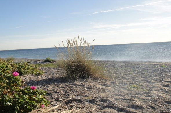 Ostseestrand