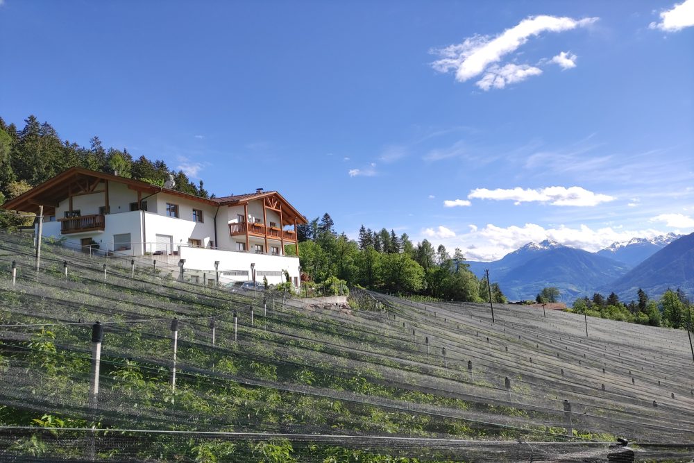 Prünsterhof