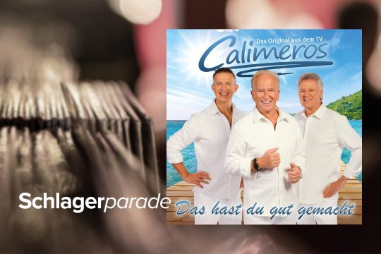 Cover von "Das hast du gut gemacht" von Calimeros