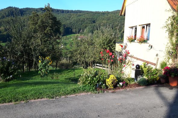 2026 Hermannshöhe Sommer