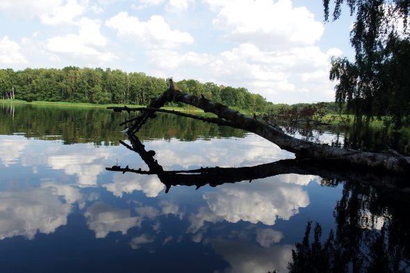 2026 Schaalsee
