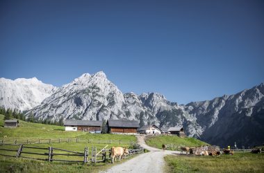 Walderalm in Gnadenwald