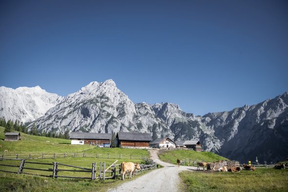 Walderalm in Gnadenwald