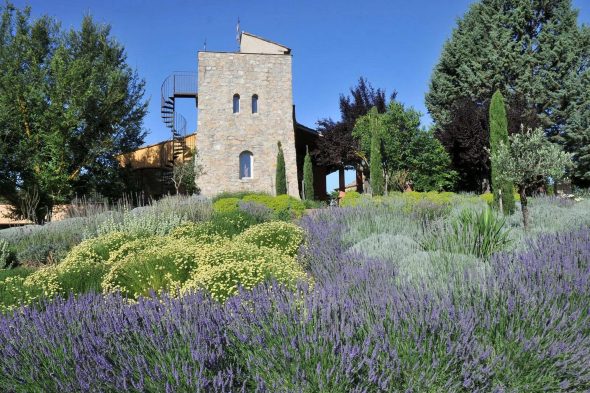 2026 Une Campagen en Provence Ansicht mit Lavendel