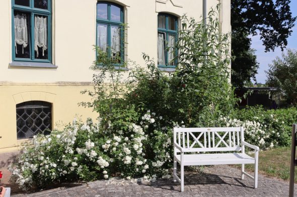 Außenansicht Sommer