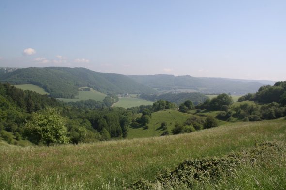Panorama