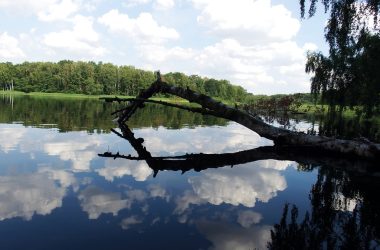 2026 Schaalsee