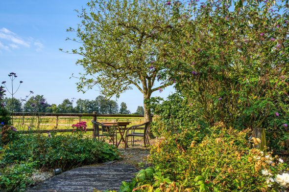 Eine Sitzgelegenheit unter einen Apfelbaum